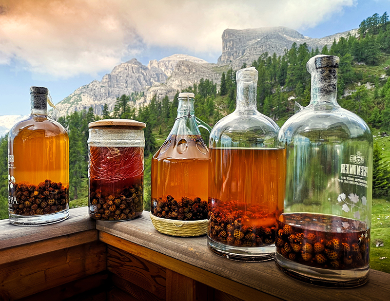 Grappa (© rottonara - Pixabay)