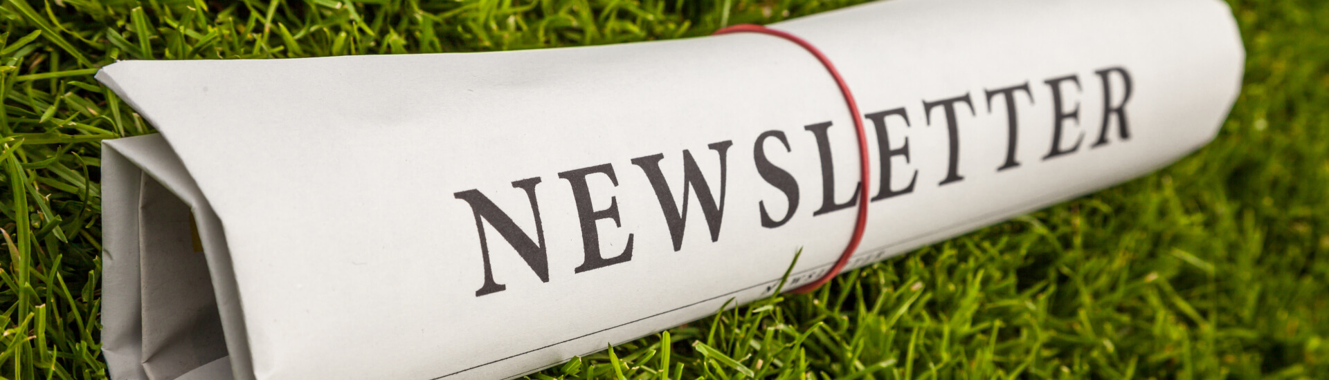 Newsletter-©-SP-Photo-Shutterstock.com-shutterstock_196409882_1920x550neu